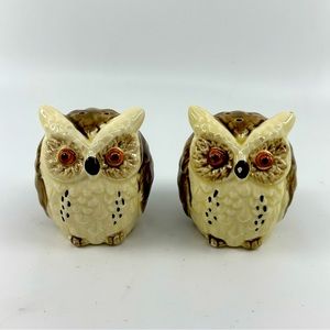 Vintage Enesco Japan Owl Salt and Pepper Shaker set.